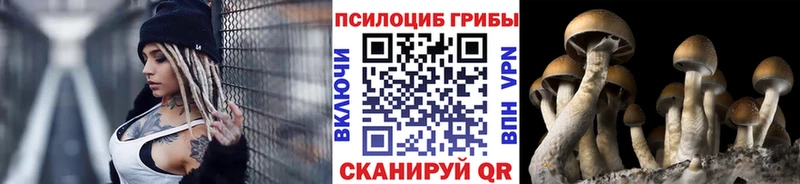 kraken маркетплейс  Мариинский Посад  Галлюциногенные грибы ЛСД 